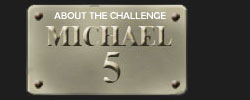 About the Challenge